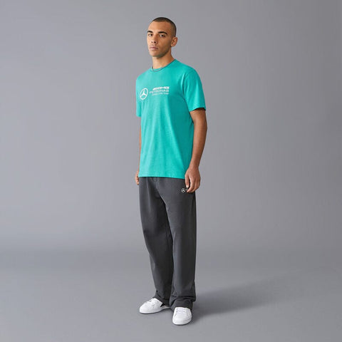 Mercedes Benz AMG Petronas F1 Men's Large Logo T-Shirt - Black/White/Green