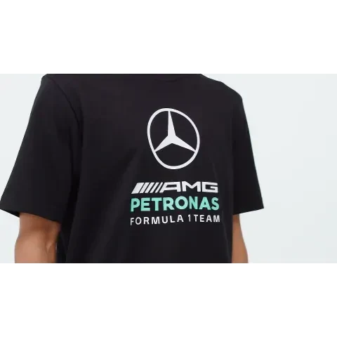 Mercedes - AMG Petronas Formula One Men's DNA Graphic T-Shirt - Black/White