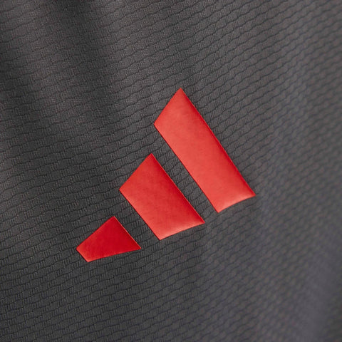 Audi Formula One Men's 2026 Team Mechanics T-Shirt - Gray